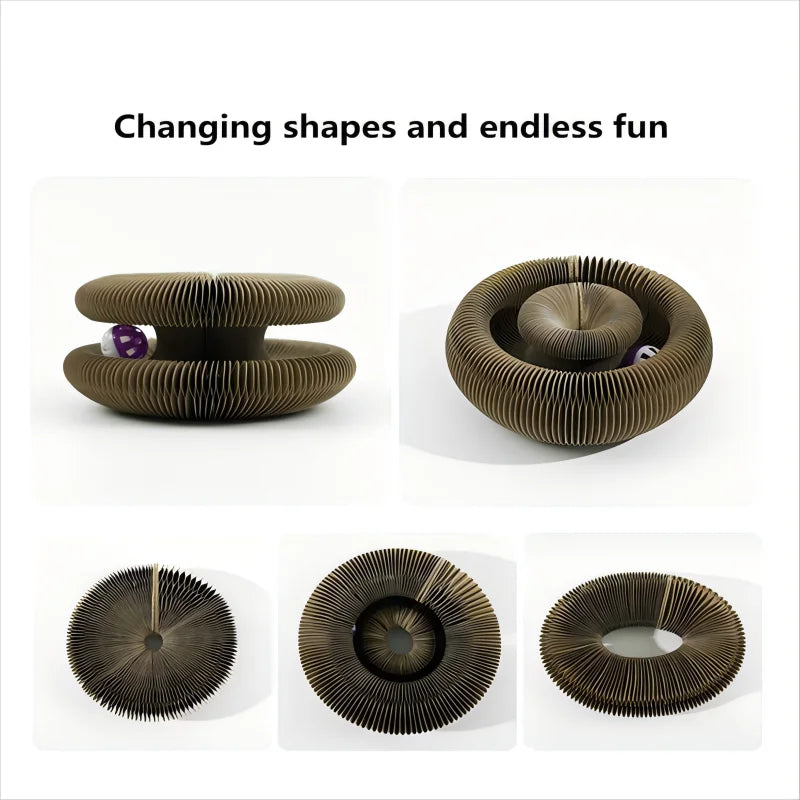 Kitten Curl Foldable Magic Organ Toy