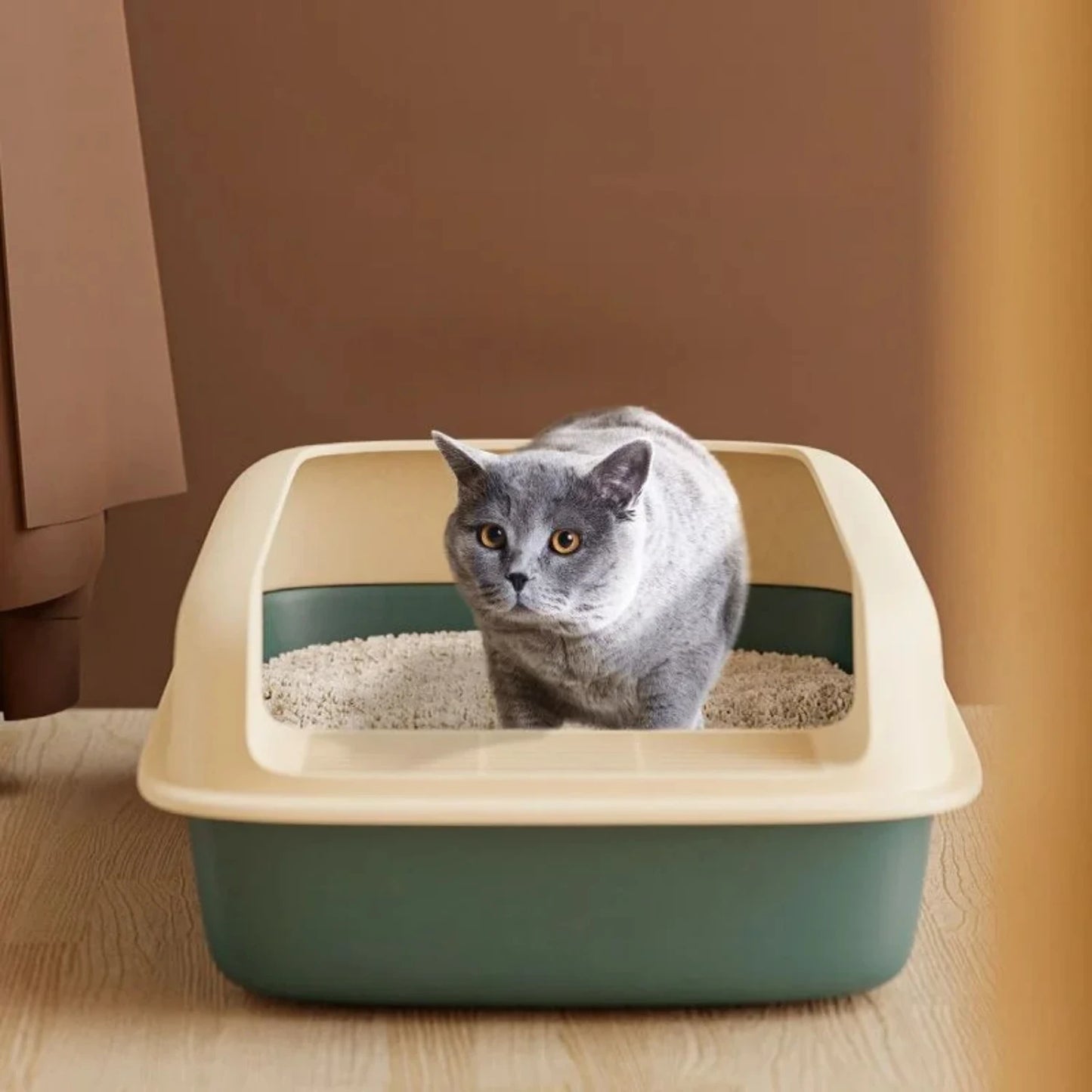 Kitty Litter Box Small Size