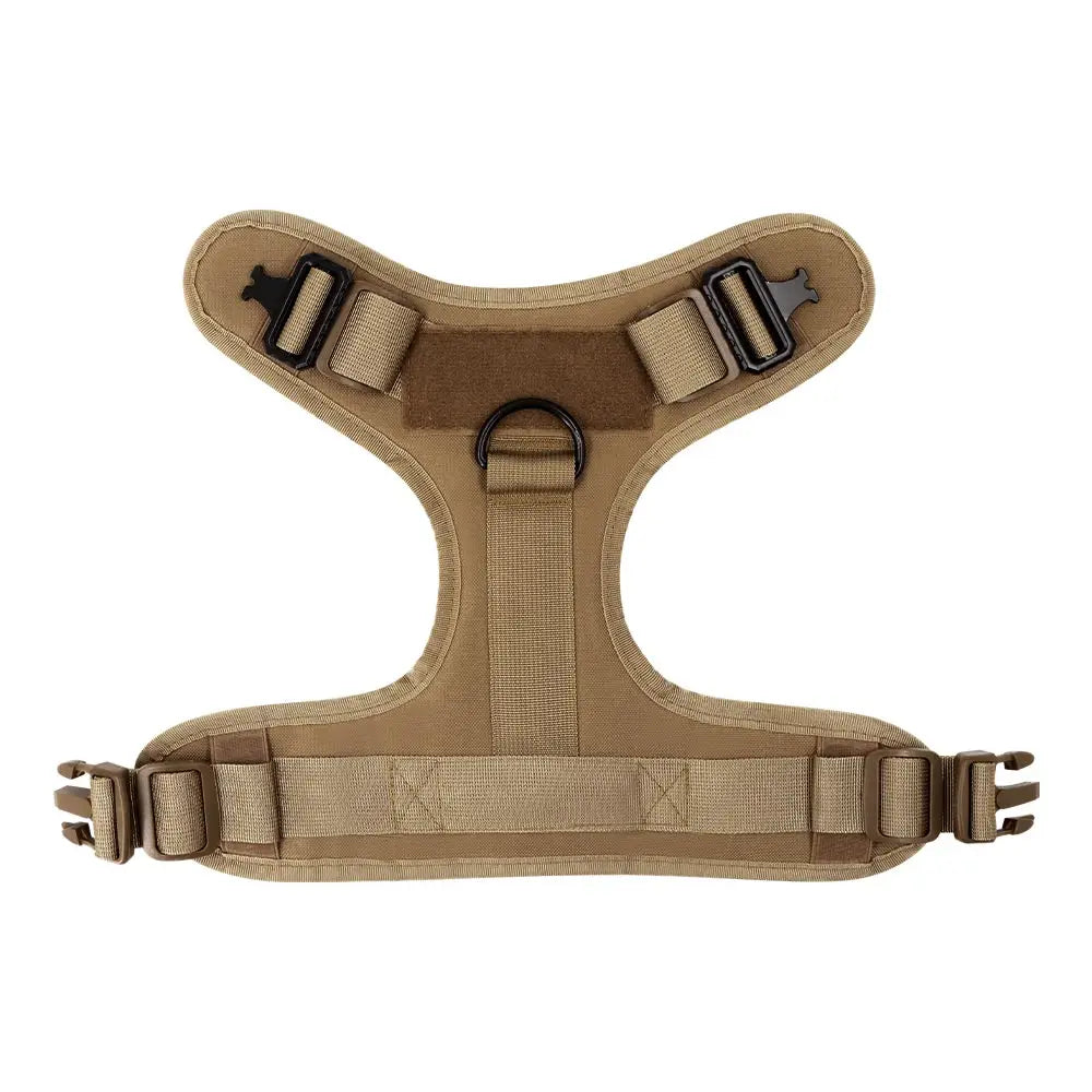 Large Dog Harness And Leash Set