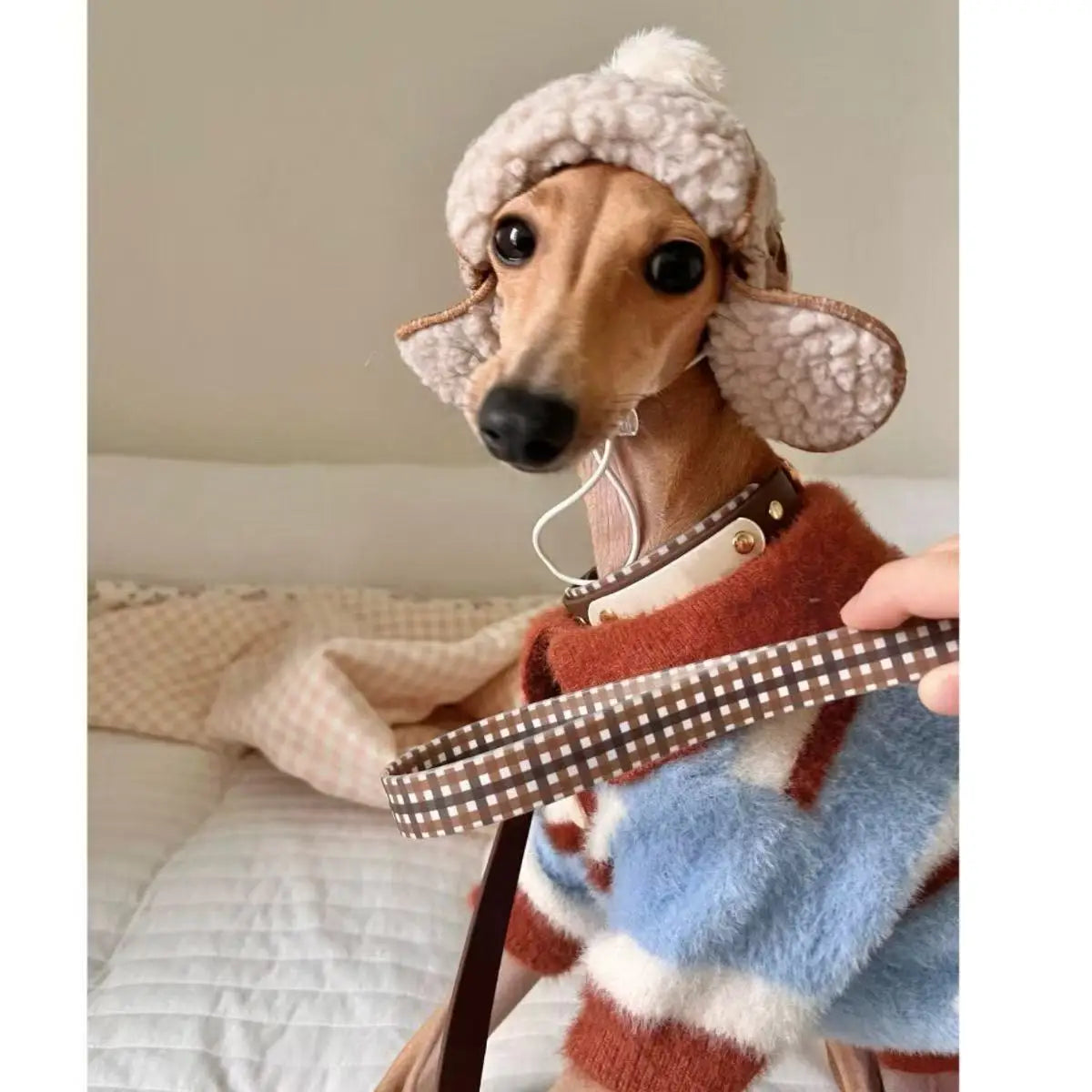 Color Blocked Striped Sweater For Dogs