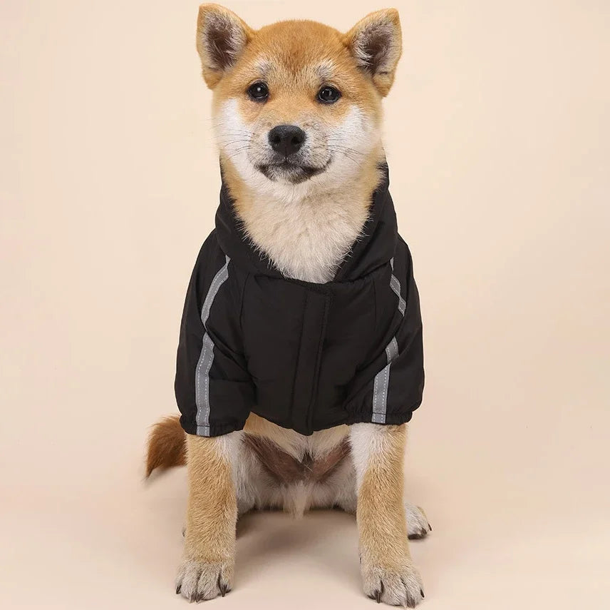Autumn Winter Pet Dog Waterproof Coat