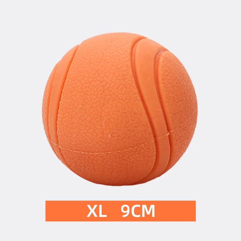 Dog Toy Rubber Ball Toy