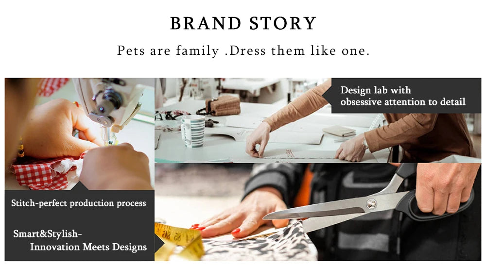 Upgraded Foldable Pet Carrier for Cats and Dogs, Portable Soft-Sided Travel  BBreathable Mesh, Safety Strap for small Dogs