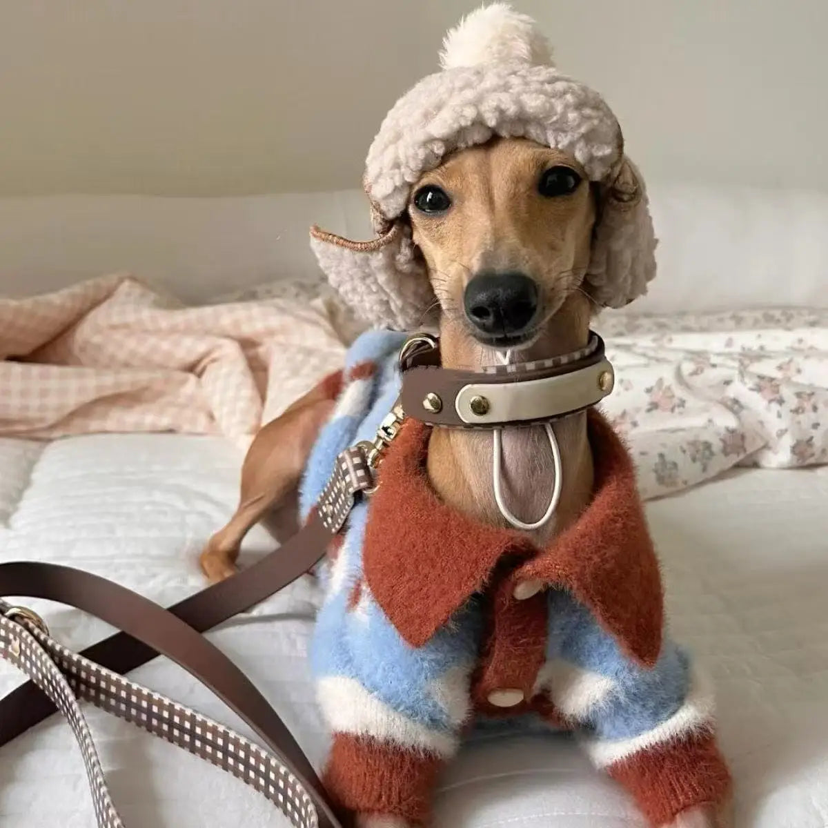 Color Blocked Striped Sweater For Dogs