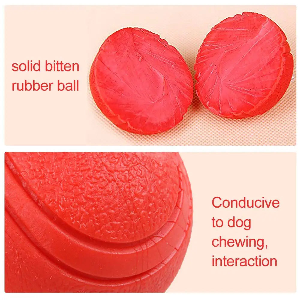 Dog Toy Rubber Ball Toy