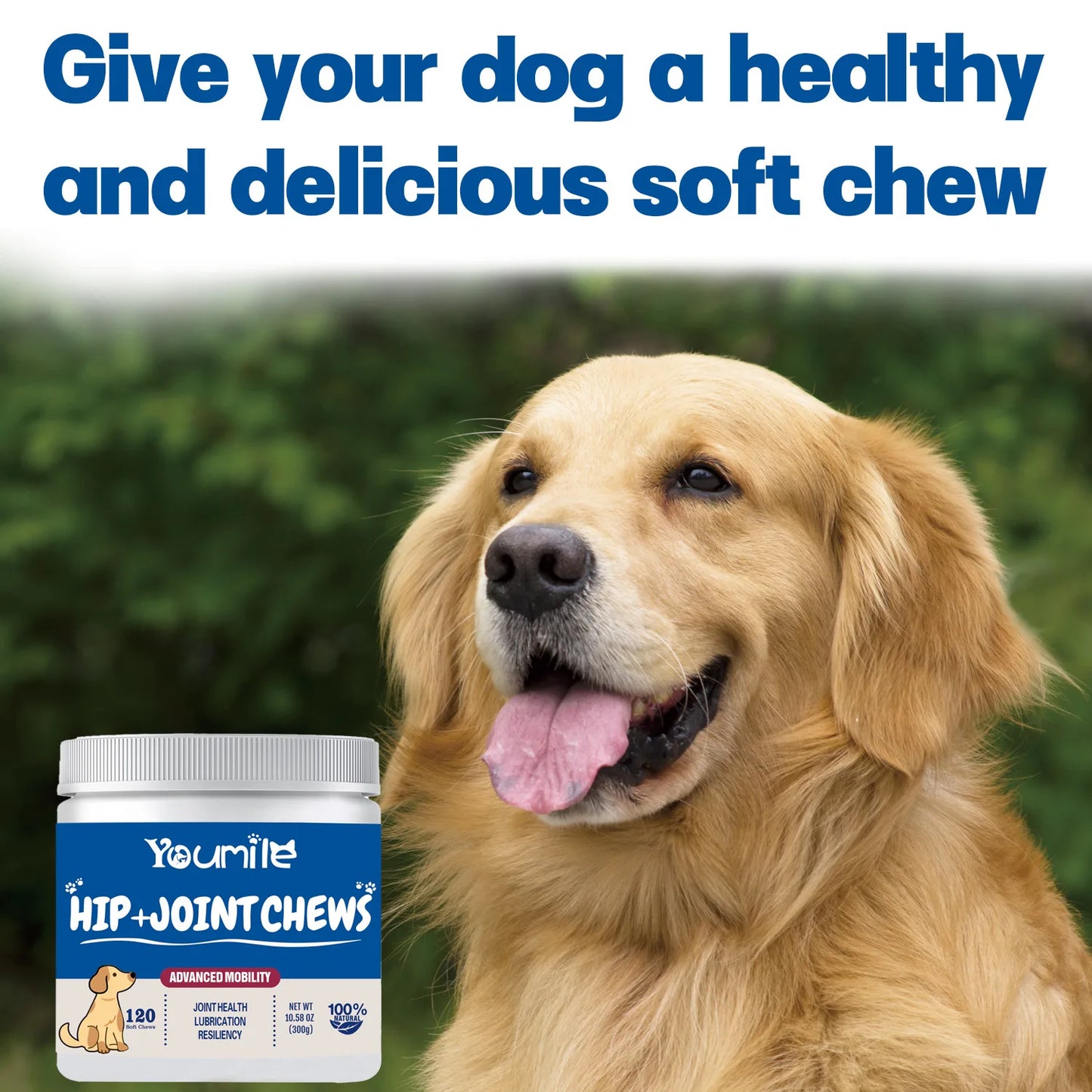Dog Joint Supplement with Hyaluronic Acid