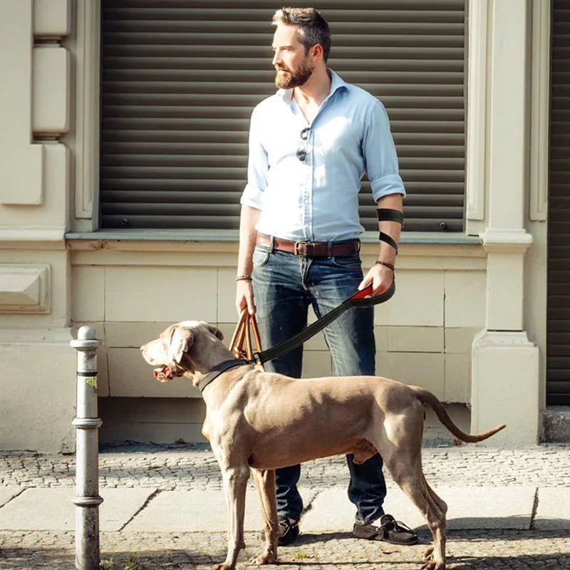 Heavy Duty Double Handle Nylon Dog Leash