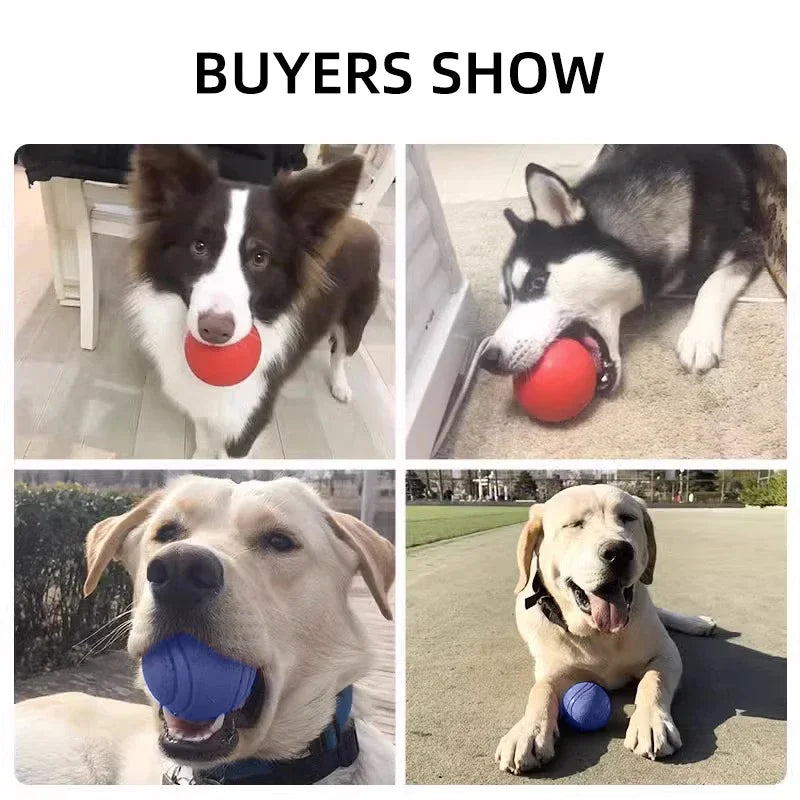 Dog Toy Rubber Ball Toy
