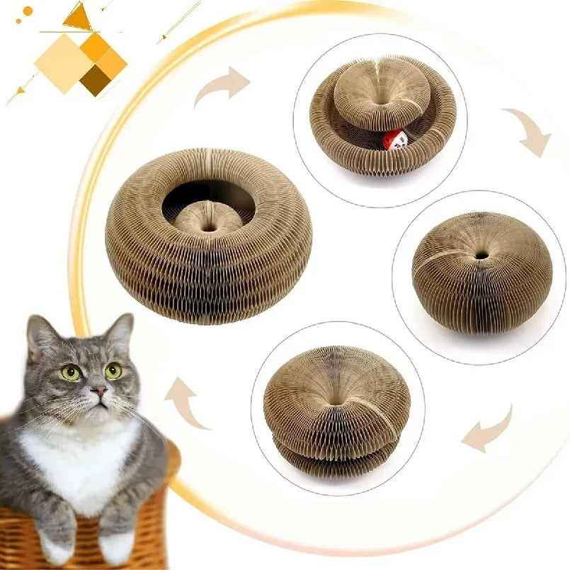 Kitten Curl Foldable Magic Organ Toy