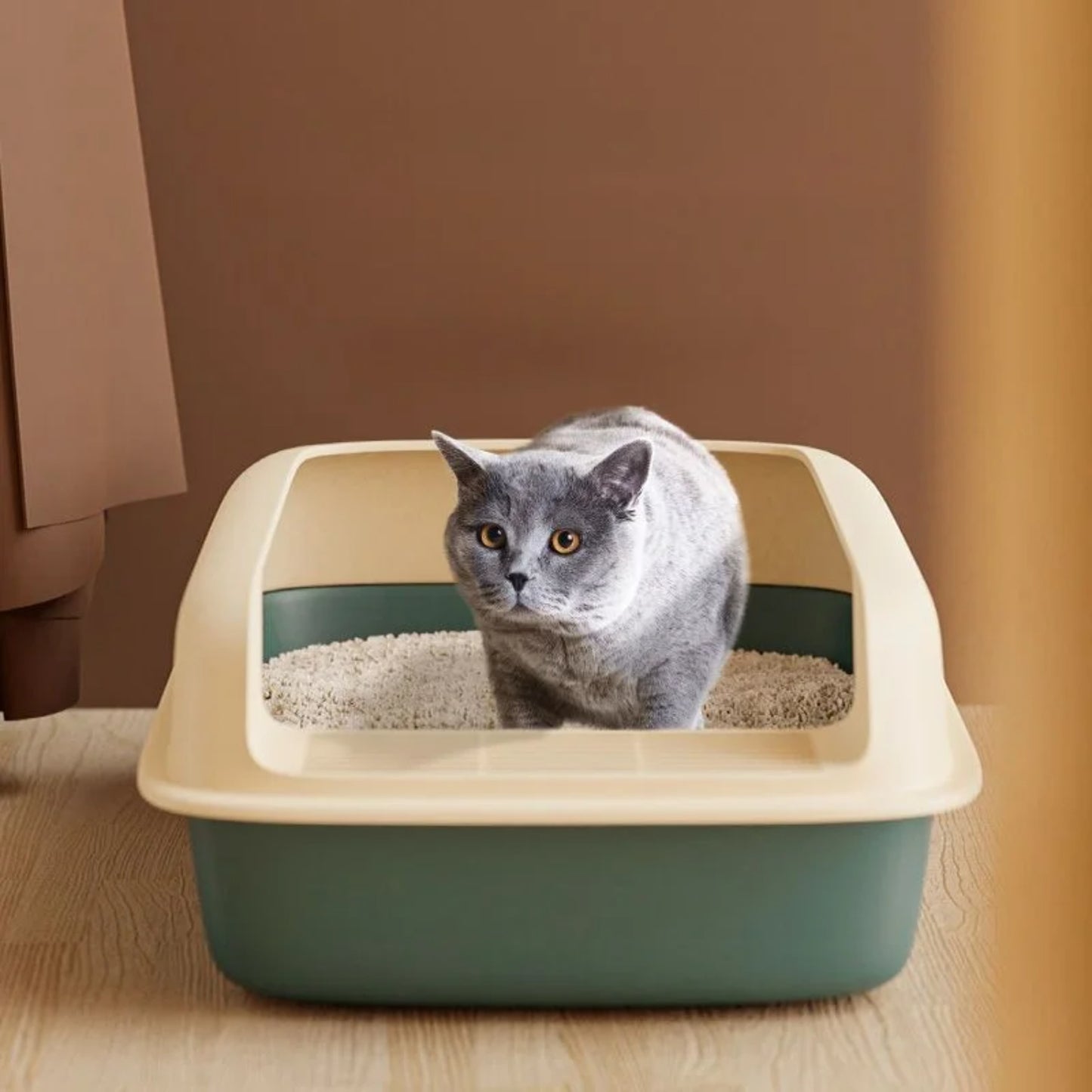 Kitty Litter Box Small Size